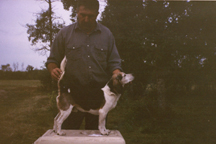 Branko's Beagles
