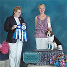 Branko's Beagles