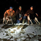 Coon Hunting