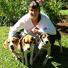 Branko's Beagles
