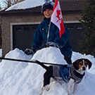 Branko's Beagles